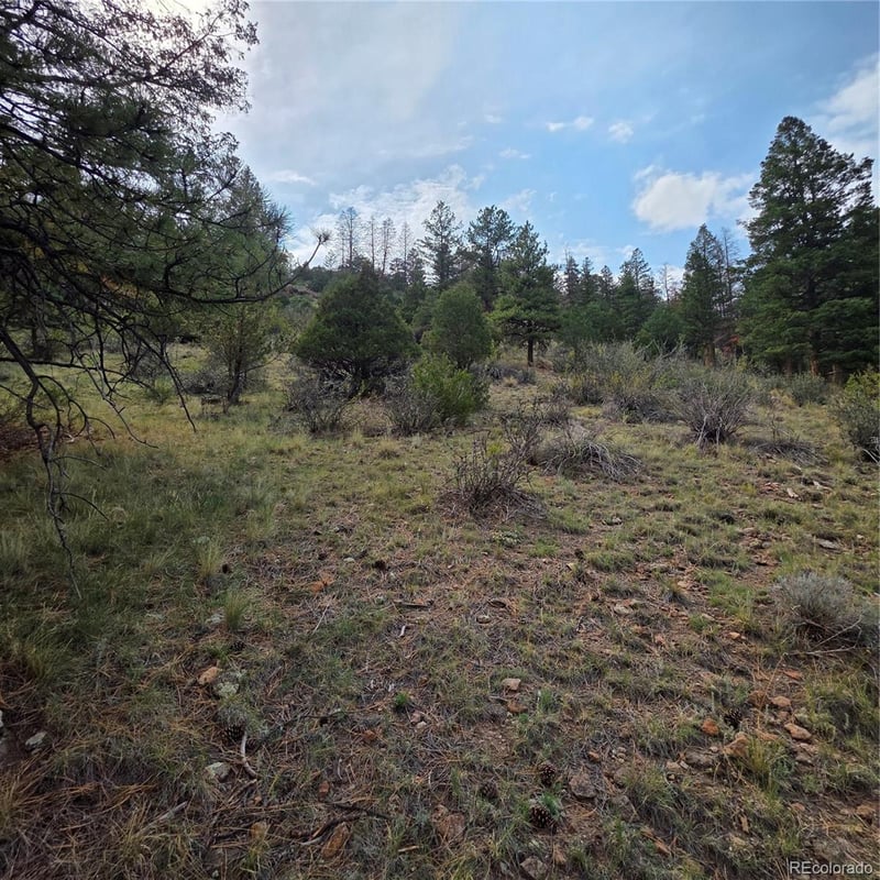 1139 Rio Grande Club Trl Lot 60, South Fork, CO 81154