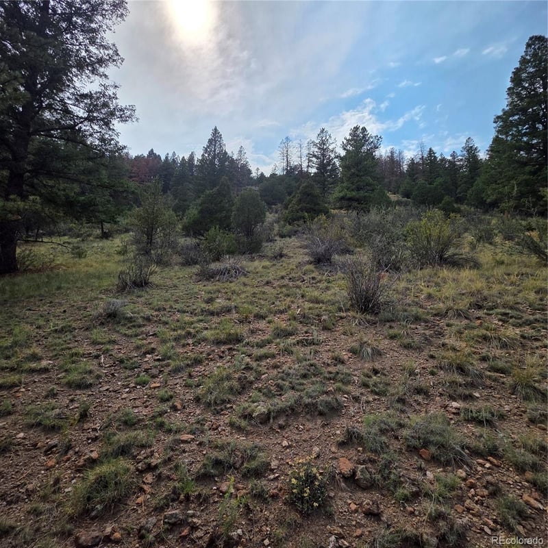 1139 Rio Grande Club Trl Lot 60, South Fork, CO 81154