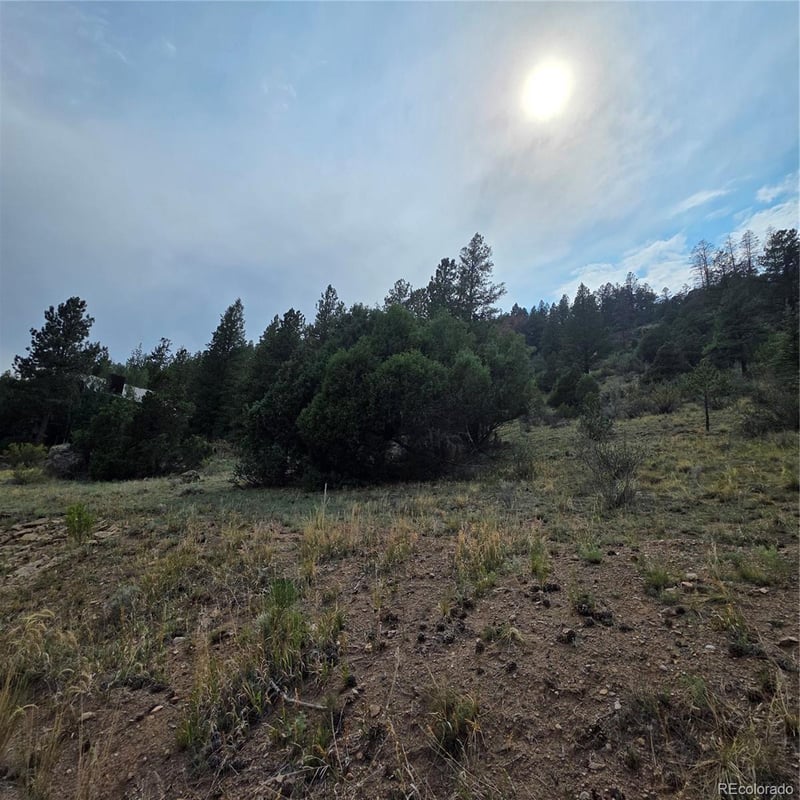 1139 Rio Grande Club Trl Lot 60, South Fork, CO 81154