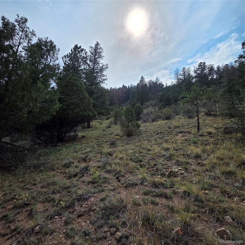 1139 Rio Grande Club Trl Lot 60, South Fork, CO 81154