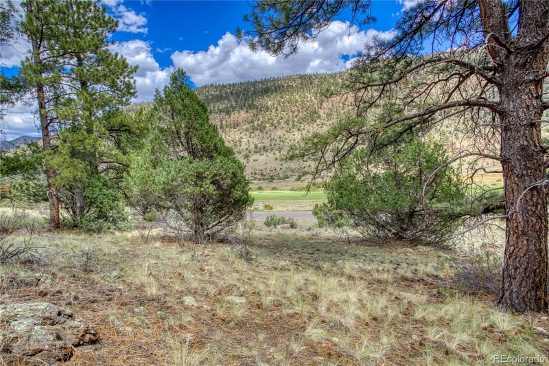 1139 Rio Grande Club Trl Lot 60, South Fork, CO 81154