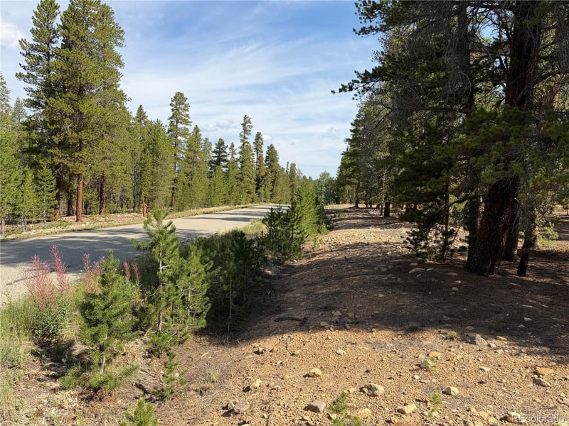 1796 Autumn Dr, Leadville, CO 80461