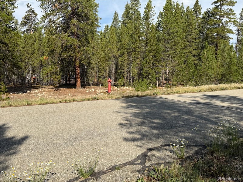 1796 Autumn Dr, Leadville, CO 80461