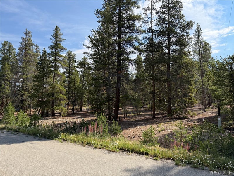 1796 Autumn Dr, Leadville, CO 80461