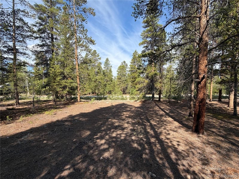 1796 Autumn Dr, Leadville, CO 80461