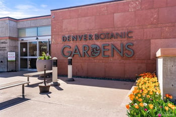 1343 N High St #8, Denver, CO 80218