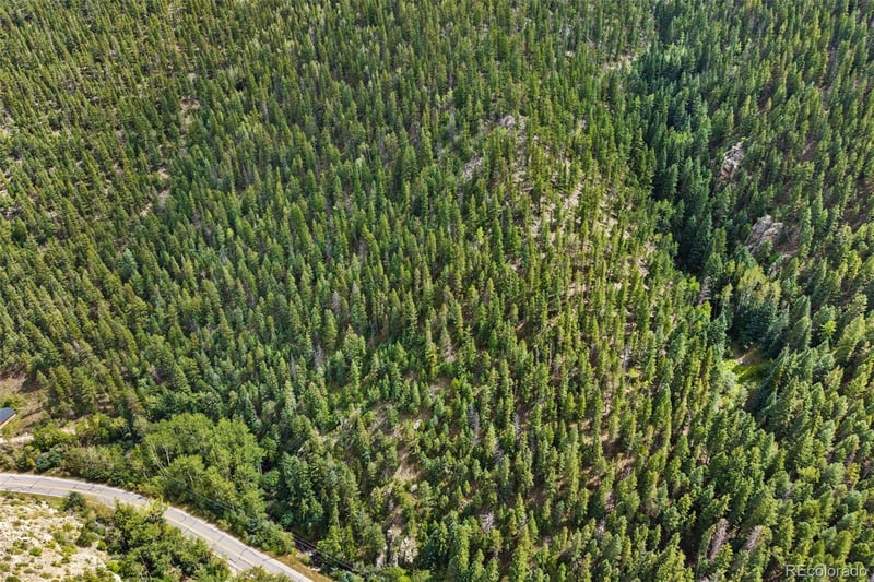 4955 Colorado 103, Idaho Springs, CO 80452
