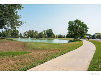 343 Scotch Pine Ct, Severance, CO 80550