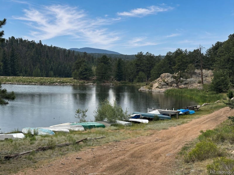 15 Dogie Trl, Florissant, CO 80816