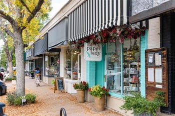 845 S Logan St, Denver, CO 80209