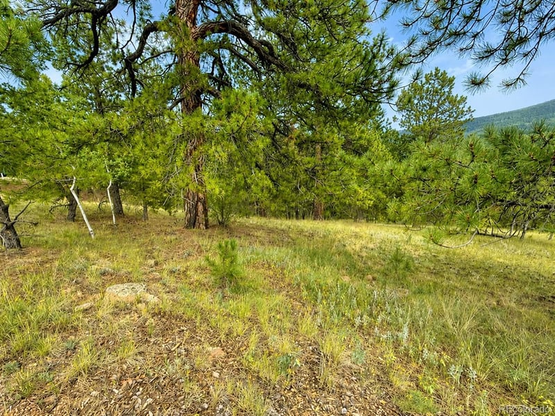 88 May Queen Way, Cripple Creek, CO 80813