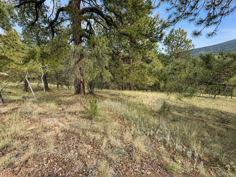 88 May Queen Way, Cripple Creek, CO 80813