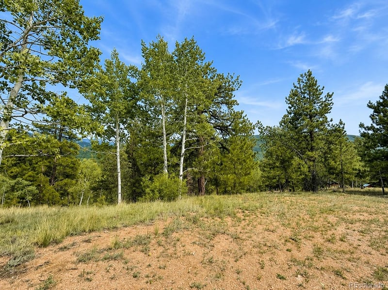 88 May Queen Way, Cripple Creek, CO 80813