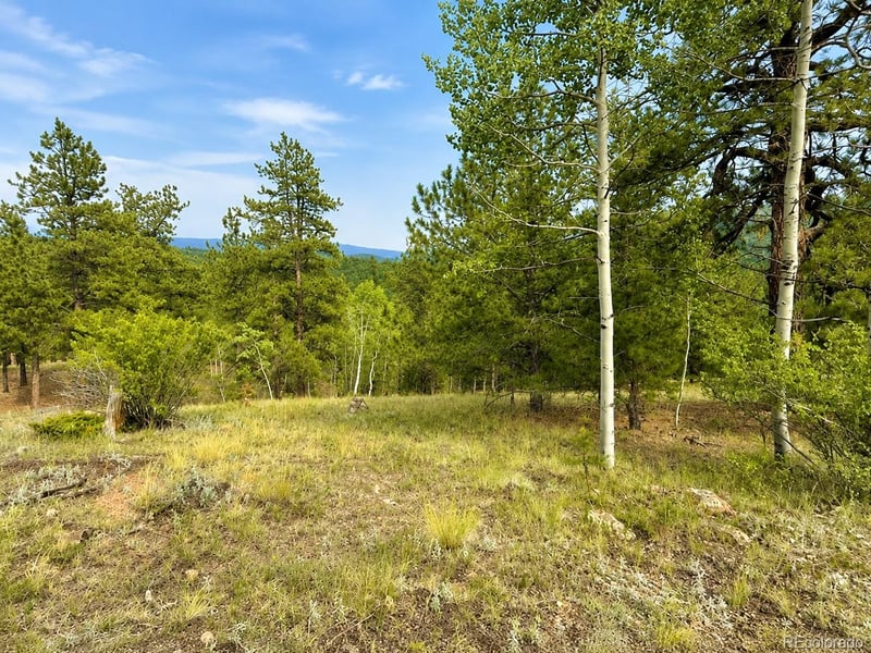 88 May Queen Way, Cripple Creek, CO 80813