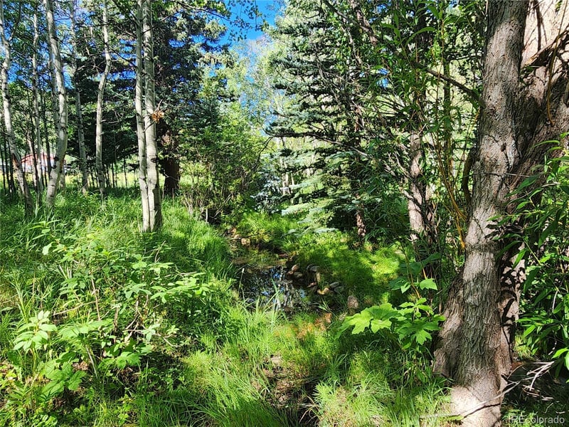 531 Caribou Rd, Nederland, CO 80466