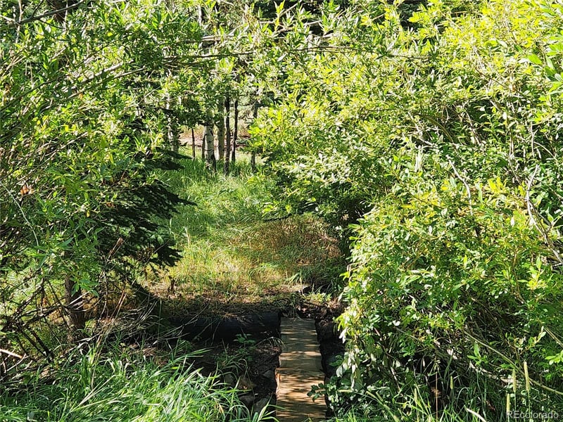 531 Caribou Rd, Nederland, CO 80466
