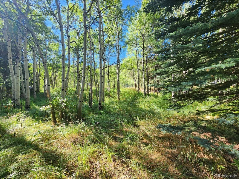 531 Caribou Rd, Nederland, CO 80466