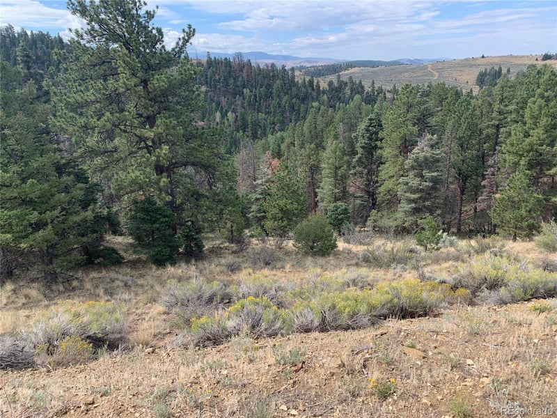 112 Lautenburg Dr, Fort Garland, CO 81133