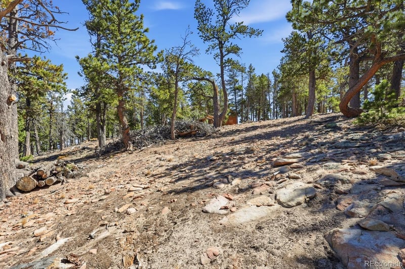 33149 Janelle Cir, Golden, CO 80403