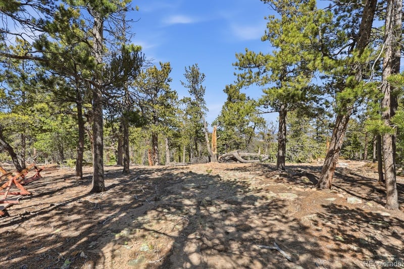 33149 Janelle Cir, Golden, CO 80403
