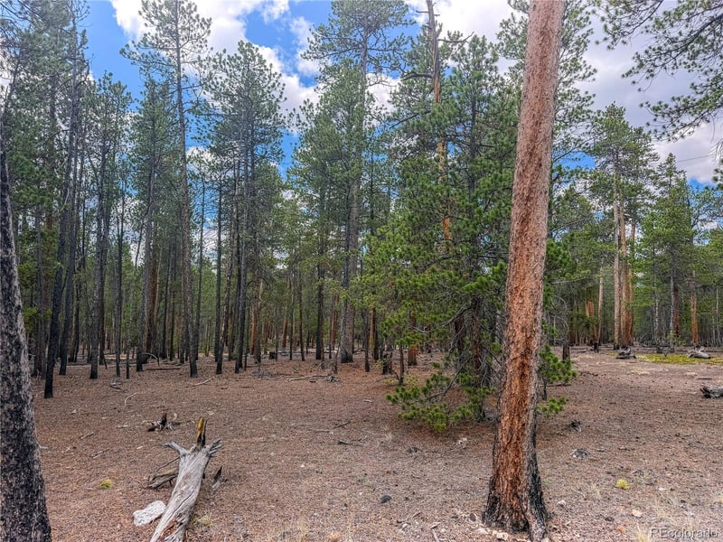 569 Birch Dr Lot 448, Leadville, CO 80461