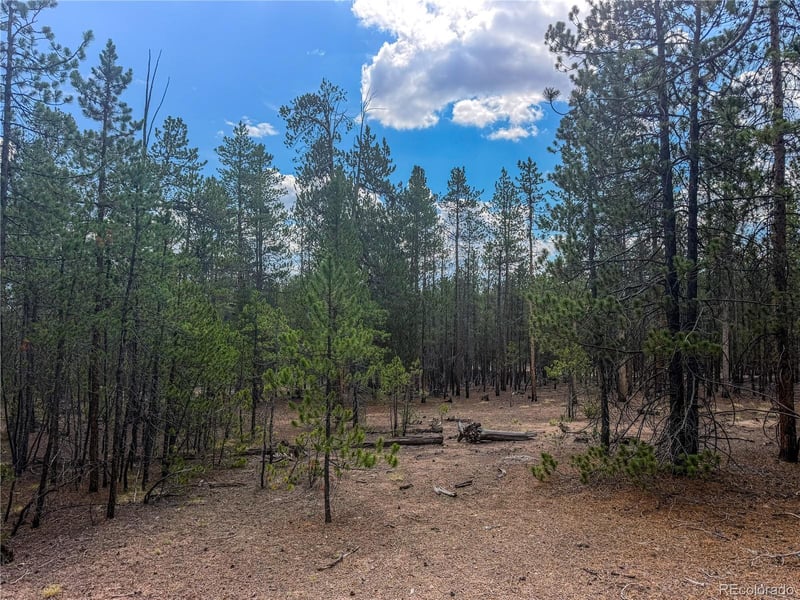 569 Birch Dr Lot 448, Leadville, CO 80461
