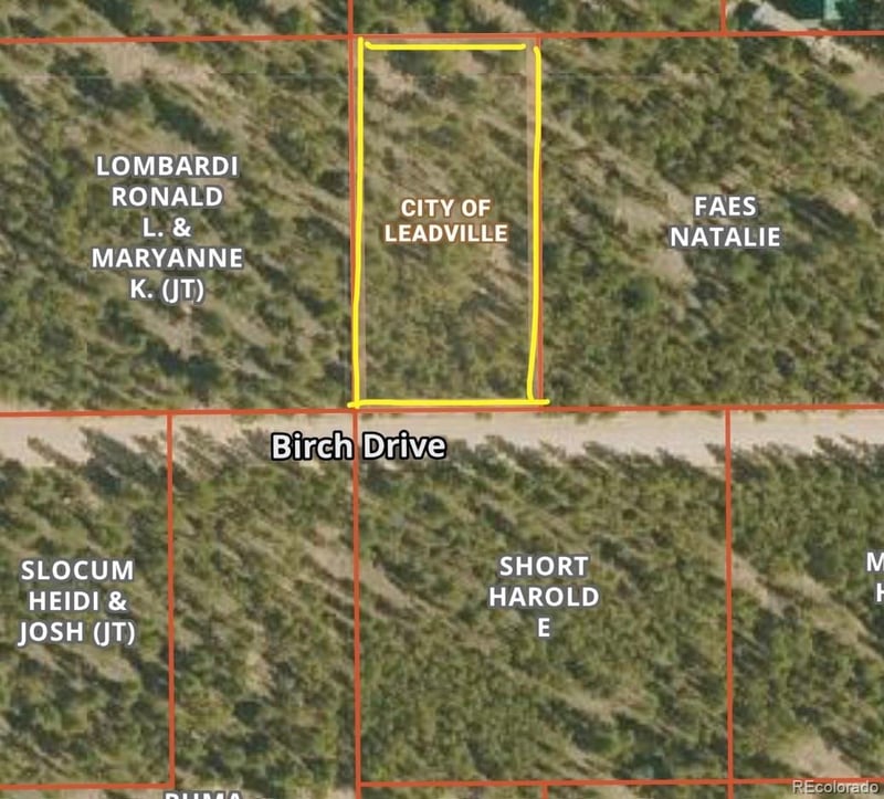 569 Birch Dr Lot 448, Leadville, CO 80461