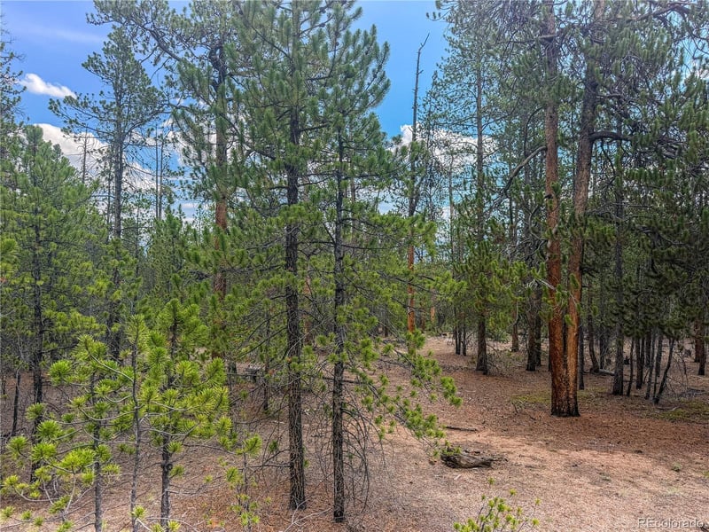 569 Birch Dr Lot 448, Leadville, CO 80461