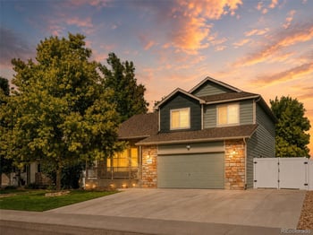 16314 10th St, Mead, CO 80542