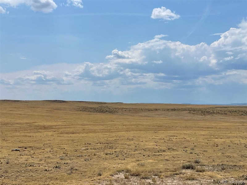 0001 Flower Cir, Simla, CO 80835