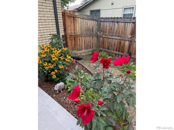 2112 Abeyta Ct, Loveland, CO 80538