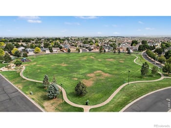 940 Scotch Pine Dr, Severance, CO 80550