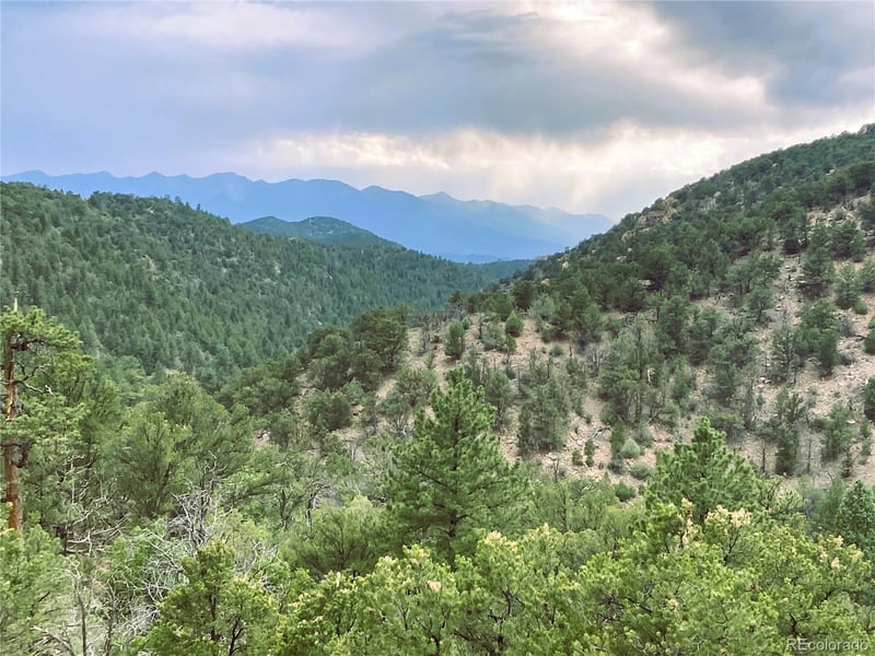 1209 Coyote Rn, Cotopaxi, CO 81223