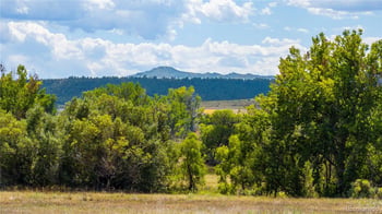 4959 Bayou Gulch St, Parker, CO 80134