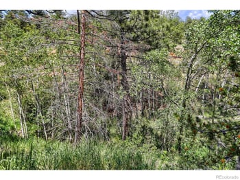 449 Highway 7 Business, Allenspark, CO 80510