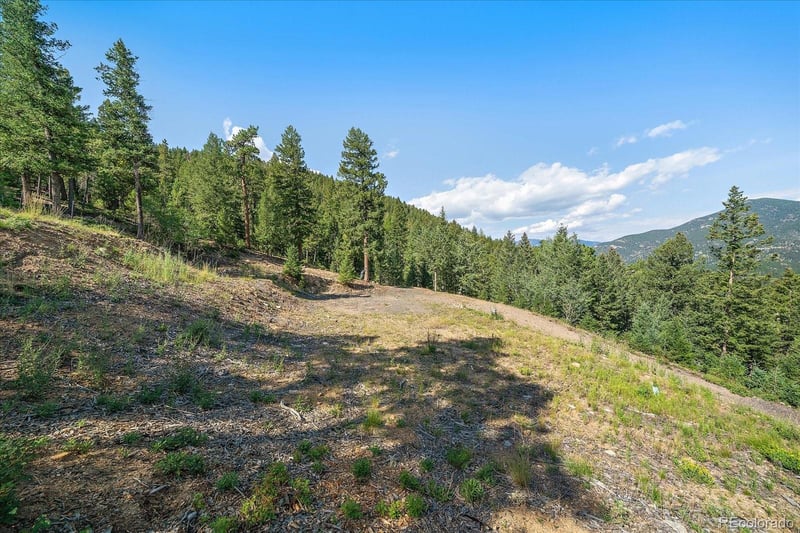 33844 Bergen View Trl, Evergreen, CO 80439