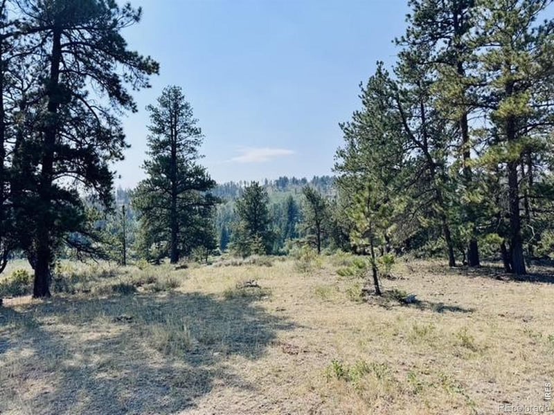 21424 W County Road 80c, Livermore, CO 80536