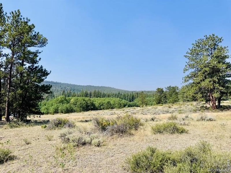 21424 W County Road 80c, Livermore, CO 80536