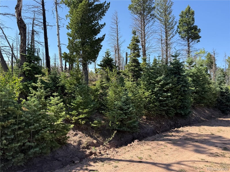 Lot 2499 Gilmartin Ln Lot 2499, Fort Garland, CO 81133