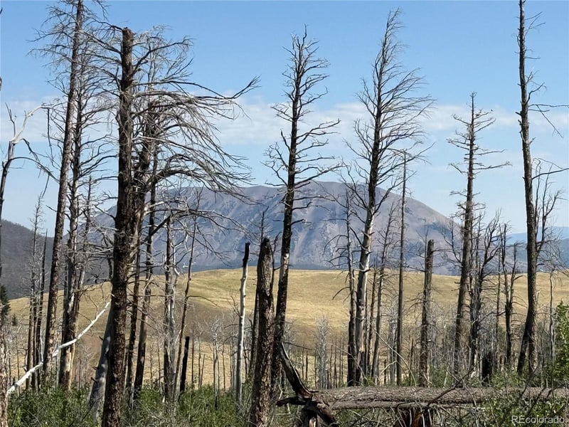 Lot 2498 Gilmartin Ln Lot 2498, Fort Garland, CO 81133