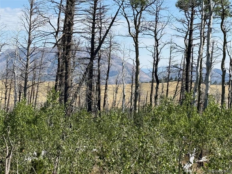 Lot 2498 Gilmartin Ln Lot 2498, Fort Garland, CO 81133