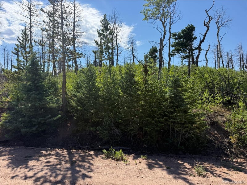 Lot 2498 Gilmartin Ln Lot 2498, Fort Garland, CO 81133