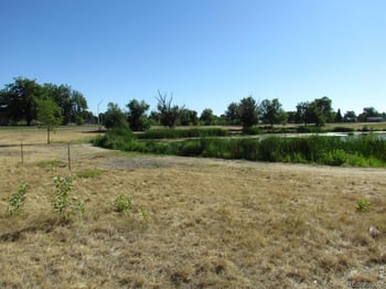1017 S Krameria St, Denver, CO 80224