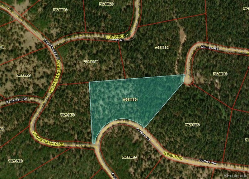 LOT 6615 Forbes Rd, San Luis, CO 81152