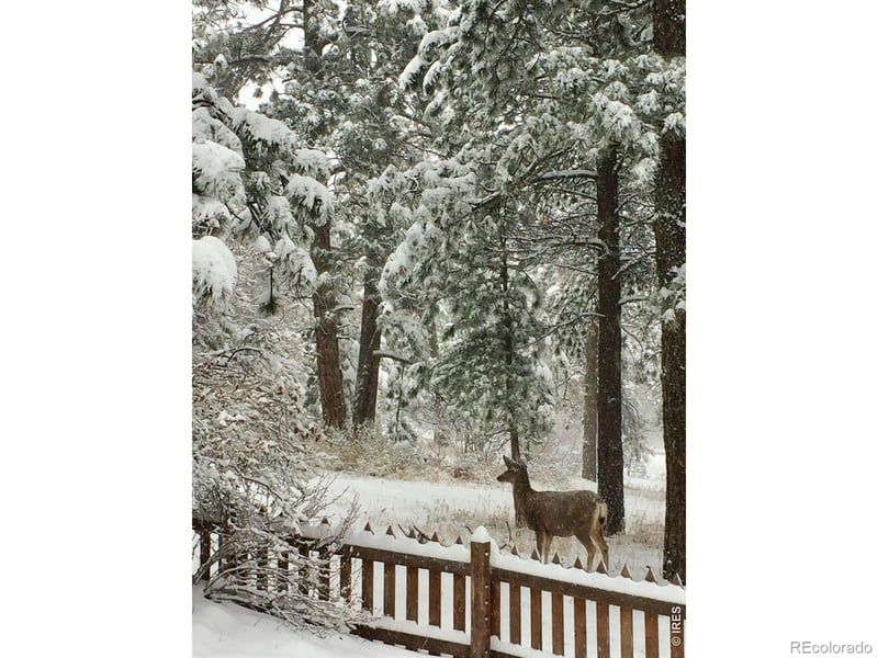 32048 Highway 72, Golden, CO 80403