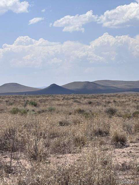 LOT 19 Tonerville Rd, Blanca, CO 81123