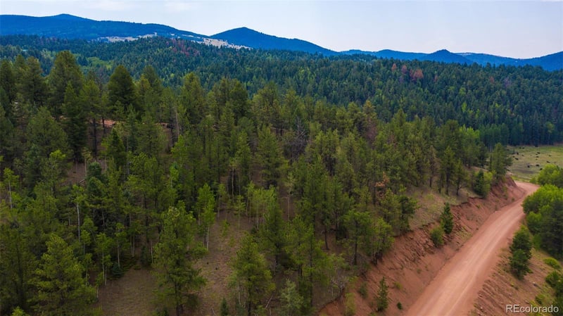 229 Vivenda Rd, Cripple Creek, CO 80813