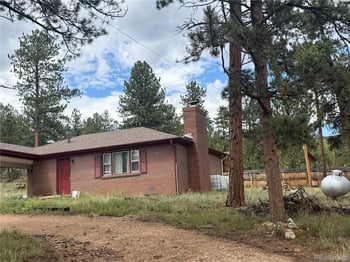 63 Fitzsimmons Rd, Bailey, CO 80421