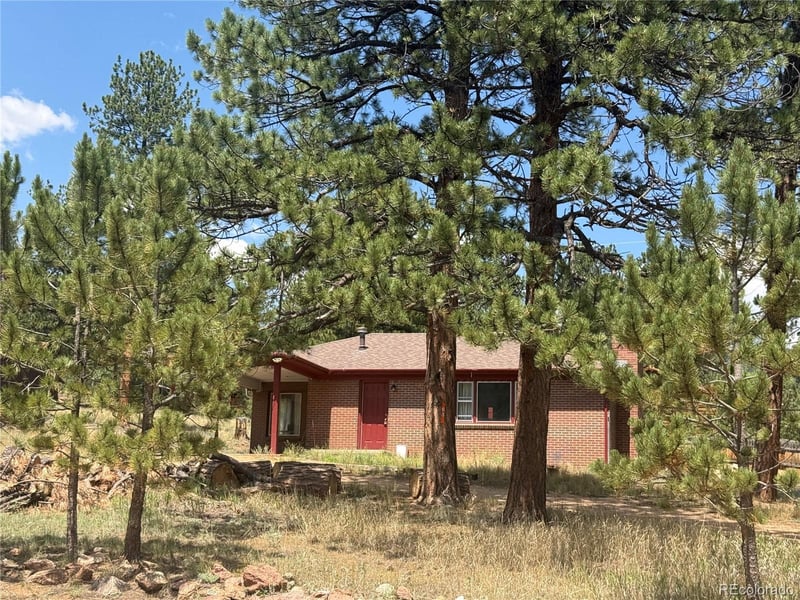 63 Fitzsimmons Rd, Bailey, CO 80421