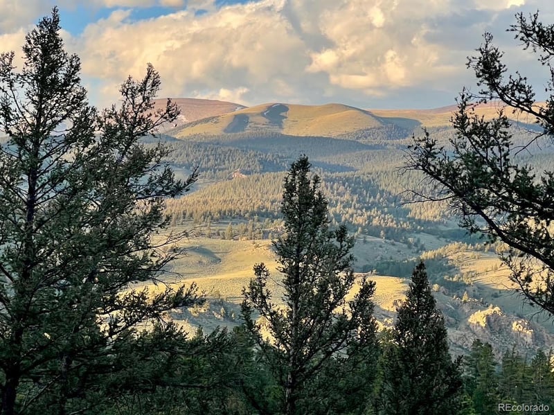 640 Edward E Hill Dr, Twin Lakes, CO 81251